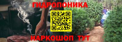 соль ск Новодвинск