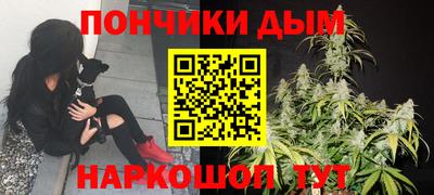 соль ск Новодвинск
