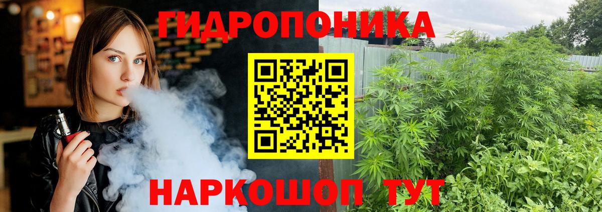 Конопля планчик Тамбов